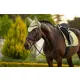Air-Tek Mesh Fly Hood Macaron