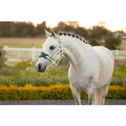 Mini Vogue Headcollar & Leadrope Macaron