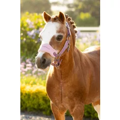 Mini Vogue Headcollar & Leadrope Mallow