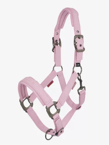 Essence Headcollar Fondant