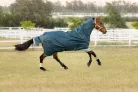 Arika Ripstop 50g Turnout Rug Jungle