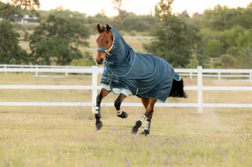 Arika Ripstop 50g Turnout Rug Jungle