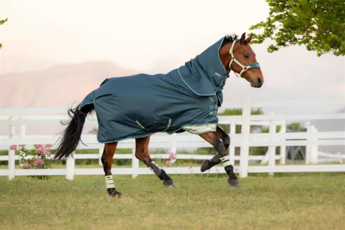 Arika Ripstop 50g Turnout Rug Jungle