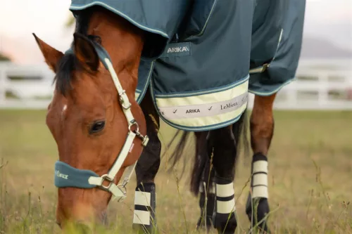 Arika Ripstop 50g Turnout Rug Jungle