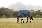 Arika Ripstop 50g Turnout Rug Jungle