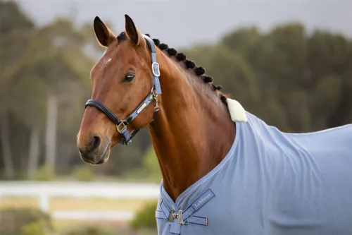 Kudos Bamboo Cooler Powder Blue