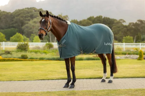 Kudos Bamboo Cooler Jungle