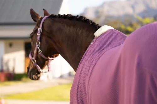 Kudos Bamboo Cooler Mallow