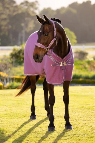 Kudos Bamboo Cooler Mallow