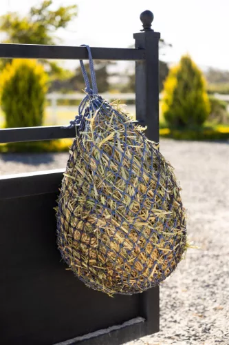 Hippo Haynet Powder Blue/Shadow