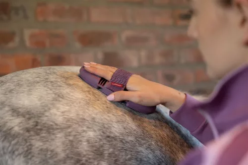 Flexi Curry Comb Powder Blue