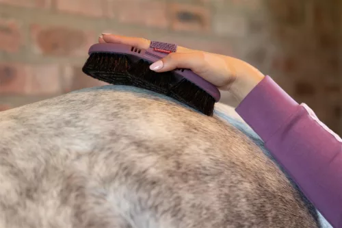 Flexi Horse Hair Body Brush Powder Blue