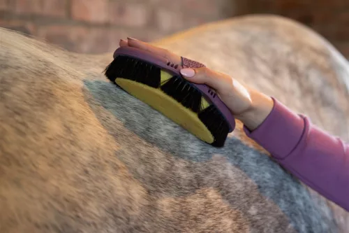 Flexi Sponge Brush Powder Blue