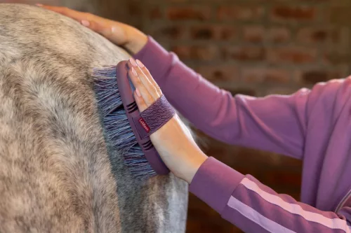 Flexi Flicky Brush Powder Blue