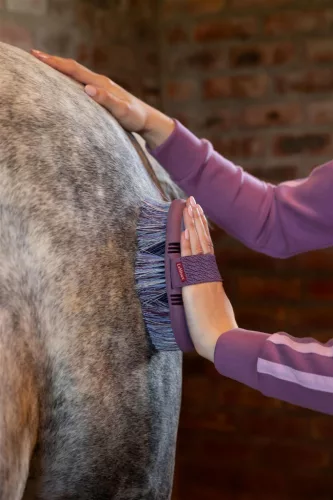 Flexi Flicky Brush Powder Blue