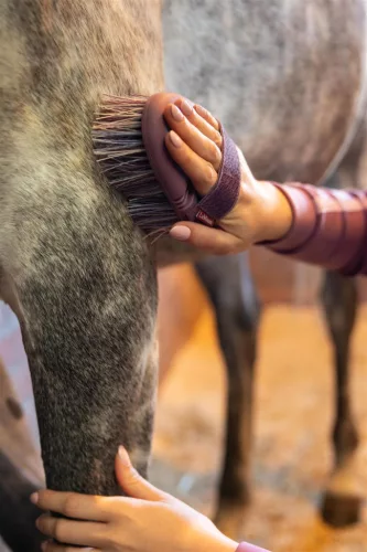 Flexi Flicky Brush Powder Blue