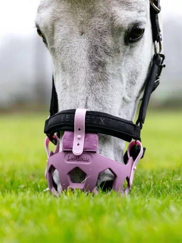 Noma Grazing Muzzle Mallow