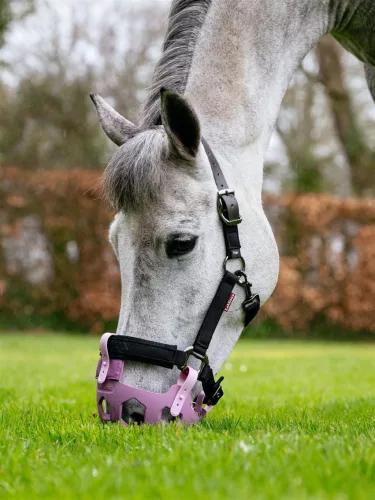 Noma Grazing Muzzle Mallow