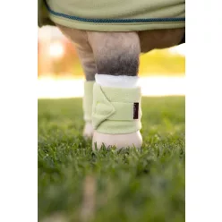 Toy Pony Bandages Macaron