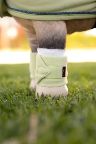 Toy Pony Bandages Macaron