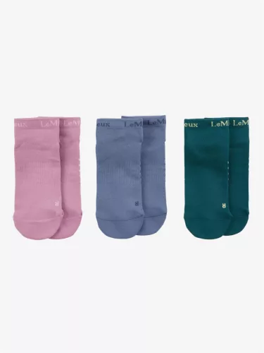 Trainer Sock 3 Pack Multi