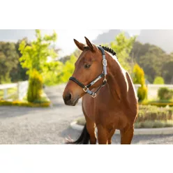 Capella Headcollar Powder Blue