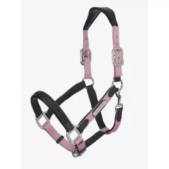 Capella Headcollar Fondant