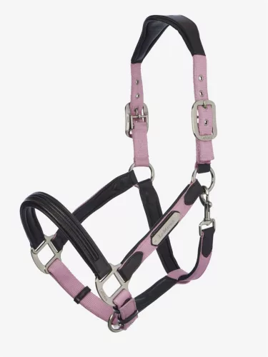 Capella Headcollar Fondant