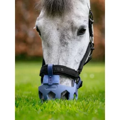 Noma Grazing Muzzle Powder Blue