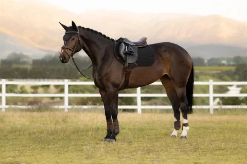 Air-Tek Mesh Close Contact Square Black