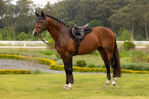 Air-Tek Mesh Half Square Black