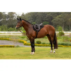 Air-Tek Mesh Half Square Black