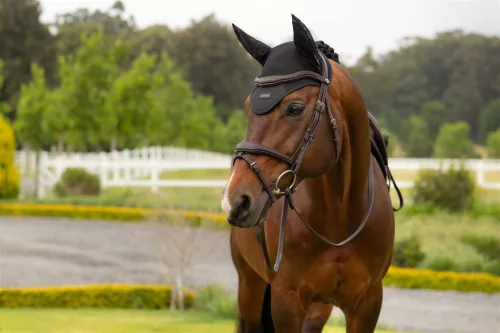 Air-Tek Mesh Fly Hood Black