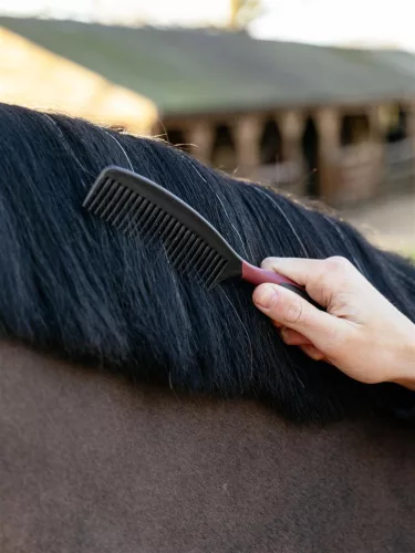 Mane Comb Black