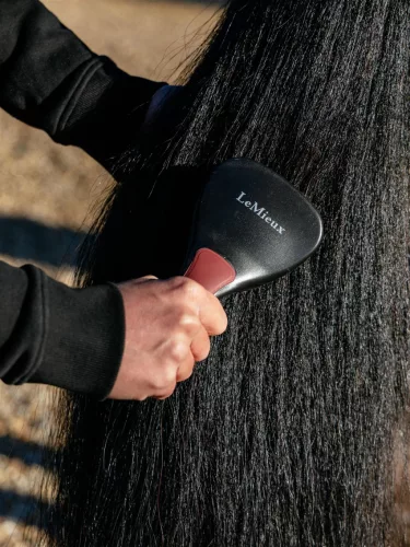 Tail Brush Black