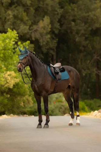 Merino+ Essence Close Contact Square Jungle