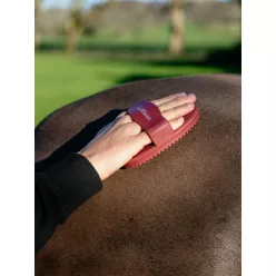 Rubber Curry Comb Red