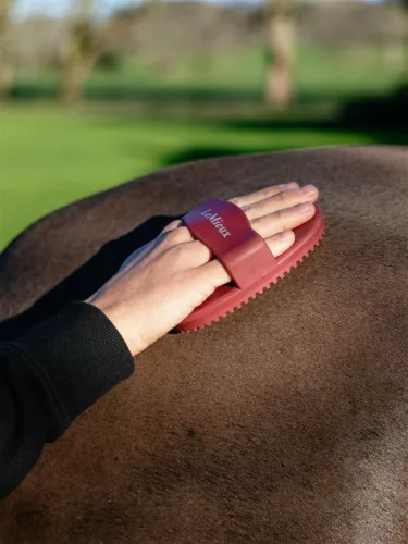 Rubber Curry Comb Red