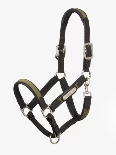 LeMieux Capella Headcollar Willow Green, Cob