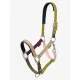 LeMieux Medley Headcollar Gooseberry/Pear/Petal, Cob
