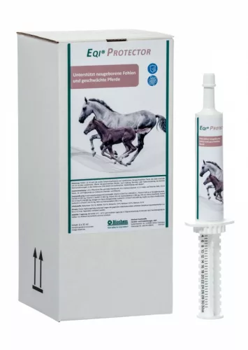 EQI® Protector paszta újszülött csikók és legyengült lovak számára