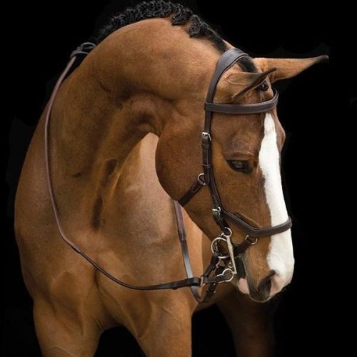 Horseware Micklem Competition kantár - Large horse, sötétbarna
