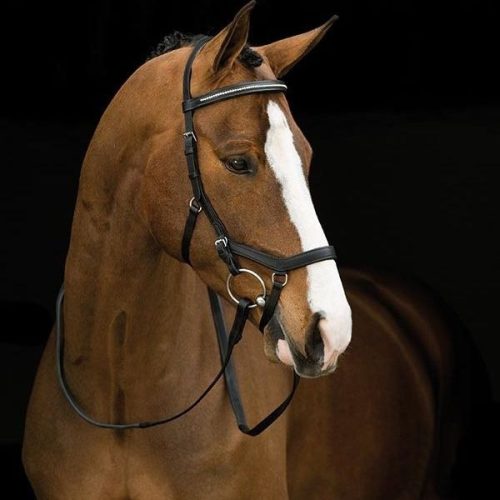 Horseware Micklem Diamante Competition kantár - Small horse