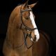 Horseware Micklem Diamante Competition kantár - Standard horse