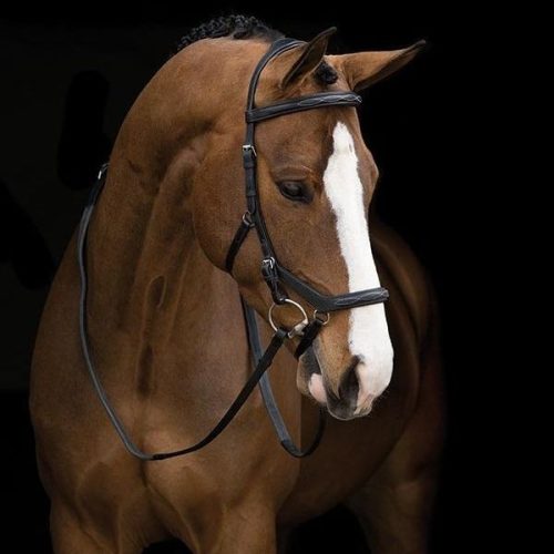 Horseware Micklem Deluxe Competition kantár - Small horse, sötétbarna