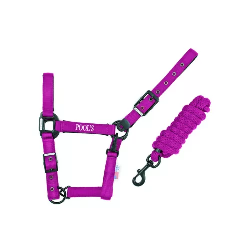 NYLON HALTER