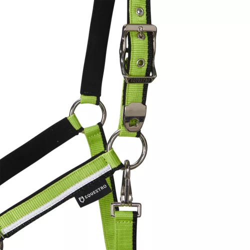Equestro White Trim bélelt kötőfék vezetőszárral - Cob, lime