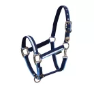 Bélelt kötőfék csattal, pony, navy/világoskék