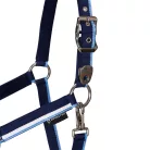 Bélelt kötőfék csattal, pony, navy/világoskék