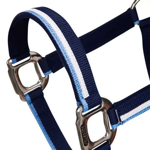 Bélelt kötőfék csattal, pony, navy/világoskék
